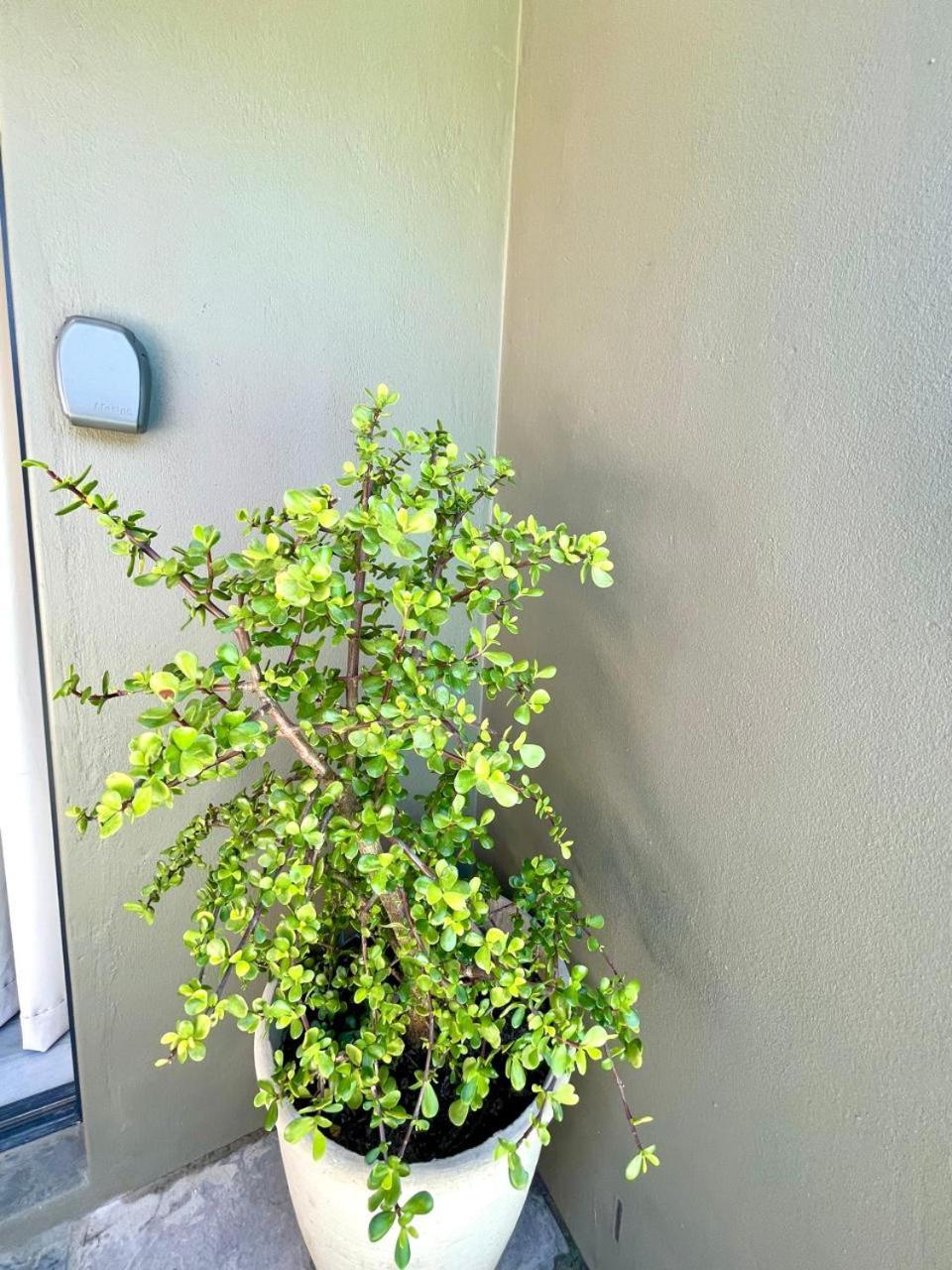 Apartament Tehillah On Boom Bothasig Zewnętrze zdjęcie